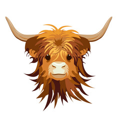 Wall Mural - Portrait of baby Highland cattle, cow. Cute head of Scottish cattle isolated on white background. Design element for logo, poster, card, banner, emblem, t shirt. Vector illustration.