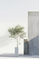 Poster - A tree is standing in front of a white wall. The tree is tall and has a lot of leaves. The wall is made of concrete and is very tall. The tree is casting a shadow on the ground. AI generated.