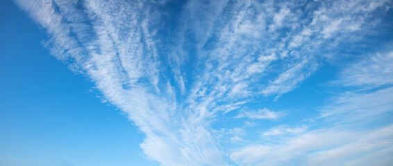 Wall Mural - wide horizontal sky background with cirrostratus clouds and some blue copy space at the left