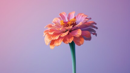 Wall Mural - A beautiful flower in full bloom against a pastel background.