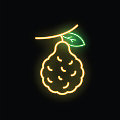 Wall Mural - Glowing neon illustration of a citron fruit hanging from a branch with a single leaf, on black background