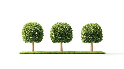 Wall Mural - Three topiary trees on grassy strip, white background, eco-friendly design concept