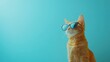 © TommyNa - Ginger cat wearing sunglasses, striking a cool pose against a turquoise background, perfect for fun, fashion, and playful pet concepts