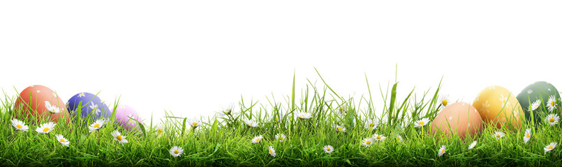 a template of a collection of painted easter eggs celebrating a happy easter with green meadow grass