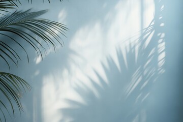 Wall Mural - Palm shadows on light blue wall, tropical background, design texture