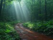 © uswatun - Sunlight Piercing Through the Dense Canopy of a Mystical Forest Path