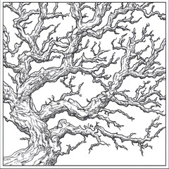 winter oak tree branch illustration, nature background, design element