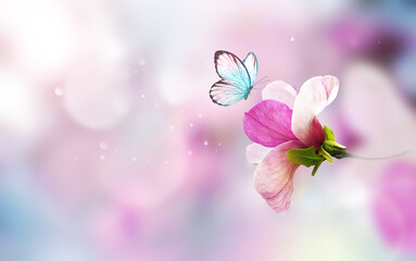 Wall Mural - spring background with blooming pink magnolia flowers and flying butterfly.