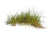 Isolated Patch of Grass