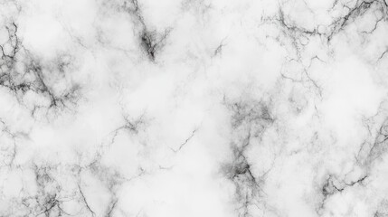 Canvas Print - Elegant White Marble Texture Background. High Resolution Seamless Pattern for Interior Design and Decoration