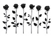 © Robi - Black Silhouettes of Rose Flowers A Modern Flat Vector Design isolated on white background