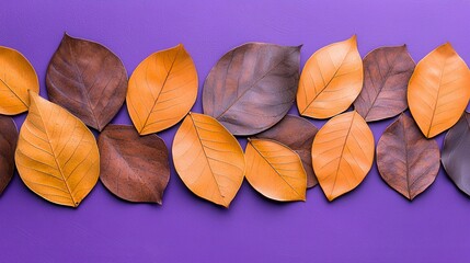 Wall Mural - Solid purple background for design and creative projects in various formats and uses