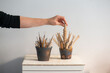 © Syphoto - Female hand with black jumper is about to take a pottery tool from a pile of wooden pottery modeling tools