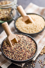 Wall Mural - Mixed uncooked quinoa seeds in bowl on black table.