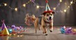 © yuwaree - Energetic dog running with party hat and streamers, excitement, speed, playful puppy