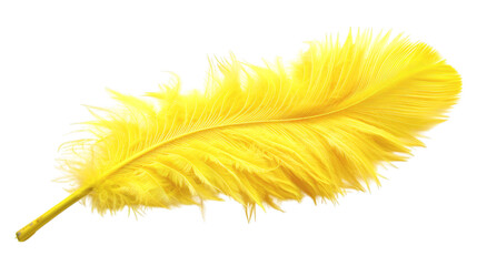 Yellow feather isolated on white background