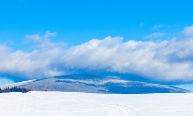 Wall Mural - Landscape with Saca Mare peak in the Gurghiu mountains - Romania in winter