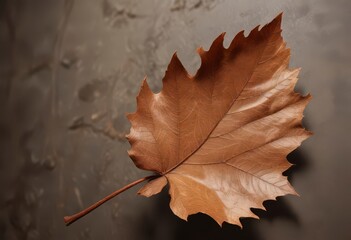 Wall Mural - Earthy brown leaf with wavy edges and delicate veins ,  green ,  texture,  organic