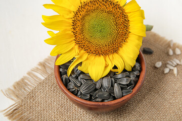 Wall Mural - Beautiful sunflower and bowl with seeds on white wooden background