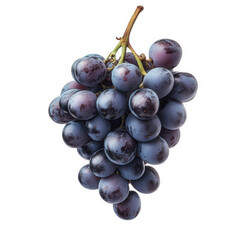 a cluster of dark purple grapes hangs against a white background. showcasing their smooth texture an
