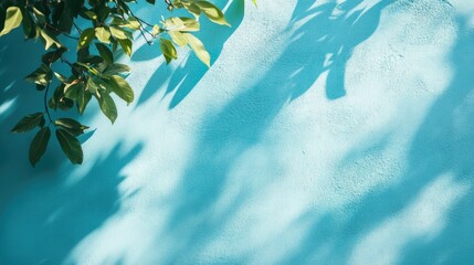 Wall Mural - blue wall with natural leaf shadows ideal for copy space and background design elements