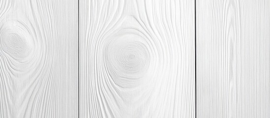 Poster - White wooden texture background featuring subtle grain patterns with ample negative space for text overlay, ideal for minimalist design projects.