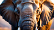 © Dionysius - Majestic Elephant Portrait Close-Up with Detailed Skin and Gentle Eyes Focused Stare