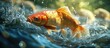© CreativeBro - Vibrant Close-Up of Splashing Carp in Clear Water with Bokeh Highlights and Natural Greenery Background for Text Overlay