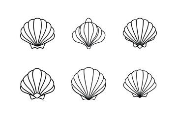seashell icon vector line art illustration