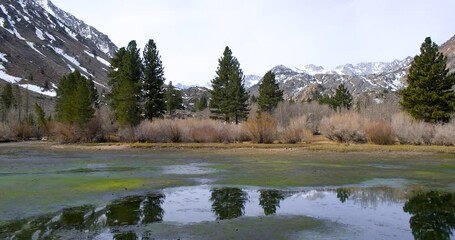 Wall Mural - scenic landscape of snow capped eastern sierra mountains in california.
