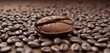 © Kingphet - Individual coffee bean with unique shape and imperfections , detail, imperfection, bean