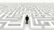 © share - 3D Illustration: Business Maze Challenge