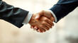 © Aliza - handshake between two businessmen