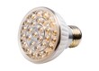 © NexGen Stock - halogen light bulb isolated on a white background