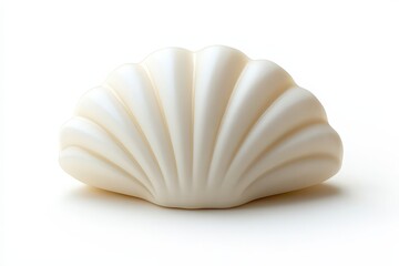 Wall Mural - Creamy White Shell Shaped Object Isolated