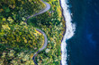 © Matteo Colombo - Drone view of winding road along the coast of Maui, on the famous road to Hana, Hawaii