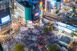 © Matteo Colombo - Aerial view of Shibuya crossing crowded at night, Tokyo, Japan