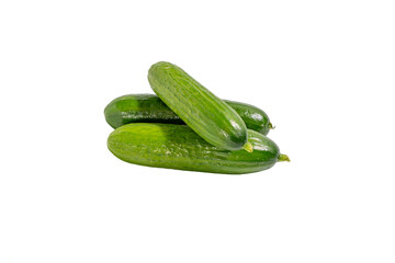 Three cucumbers are sitting on a white background. They are all green and have a pointed end. Cucumbers on transparent background png format.