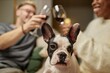 © Seventyfour - Portrait of content pied French bulldog looking at camera with his owners clicking glasses with wine in background at home, copy space