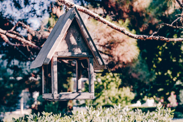 Bird feeder hanging on tree branch in forest