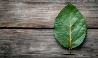 Galanga leaf isolated on a wooden background, botanic, wooden background, galanga leaf texture