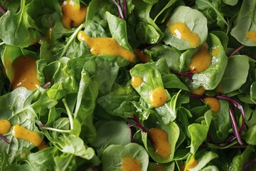 Fresh mixed greens salad with vinaigrette close up for culinary inspiration and healthy living