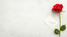 Red Rose, Love Passion Free Stock Photo - Public Domain Pictures