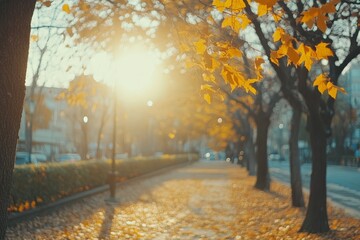 Wall Mural - Golden autumn sunlight filters through colorful leaves on a peaceful city sidewalk