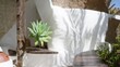 © Krakenimages.com - Blurred outdoor scene in lanzarote, spain with defocused plants, white architecture, and a rough-textured background in the canary islands sunlight.