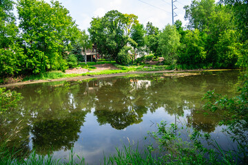 Wall Mural - A pond with a house in the background