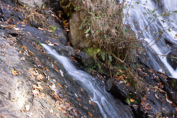 Wall Mural - North Georgia waterfall