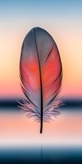 Canvas Print - Single vibrant feather against a sunset.