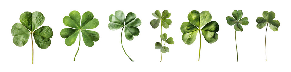 3D Rendering Pack of a Clover Leaf on Transparent Background