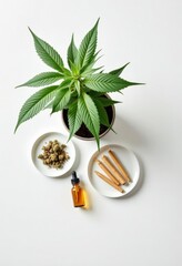 Wall Mural - Potted plant, oil, dried product, and prerolled material on white surface